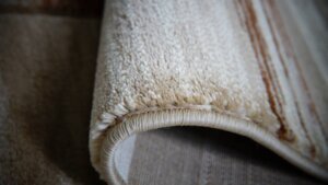 tham-phong-khach-420n-1