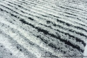 tham-phong-khach-435n-1