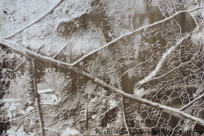 tham-phong-khach-457n-2