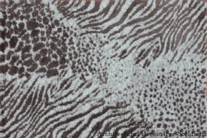 tham-phong-khach-461n-1