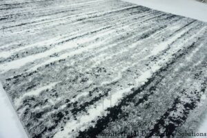 tham-phong-khach-474n-1