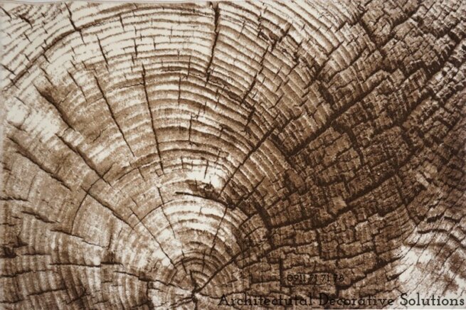 tham-phong-khach-486n-2