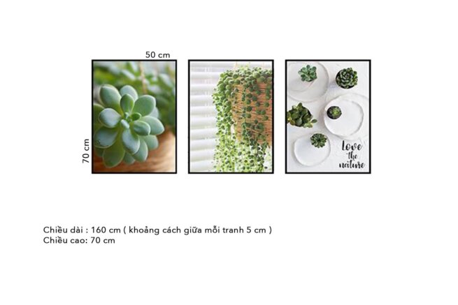 tranh-treo-tuong-079n-1