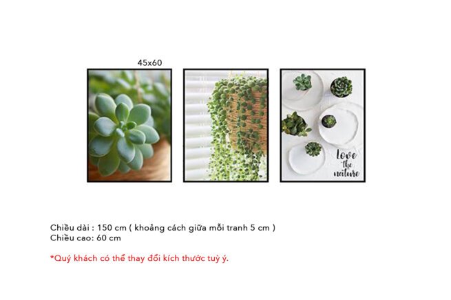 tranh-treo-tuong-079n-2