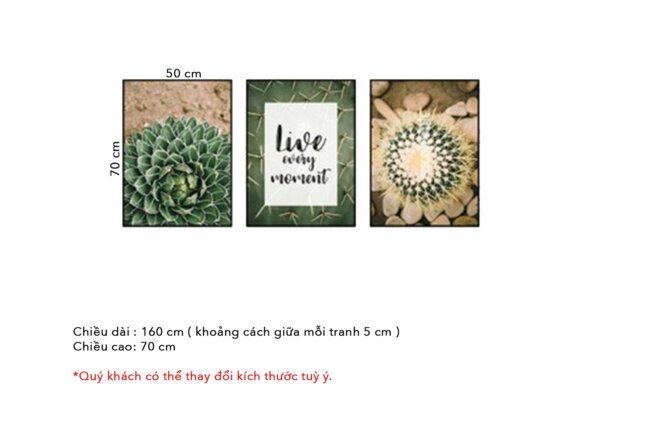 tranh-treo-tuong-116n-1